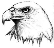 Flugschule Diemtigtal
