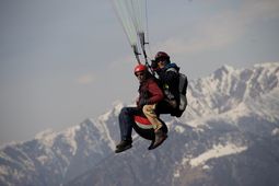 Fly&smile